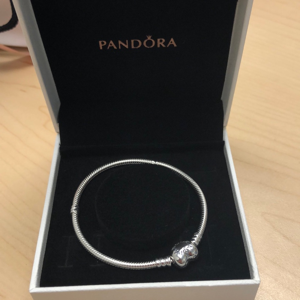 Brand new Pandora bracelet!